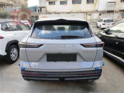 جيتور داشينج